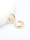 Avelia VIP Gold Küpe (14k)