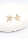 Bruna VIP Gold Küpe (14K)