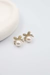Tejeda Gold Küpe(14K)