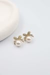 Tejeda Gold Küpe(14K)