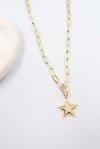 Tuberose  Gold Kolye(14K) 