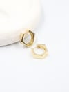 Velorina VIP Gold Küpe (14k)