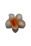 Lotus Toka