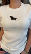 köpekcik beyaz triko 