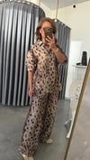 Leopar takım