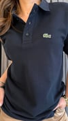 polo yaka lcst unısex laci tshirt