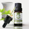 Çay Ağacı Uçucu Yağı 10 ml