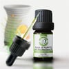 Palmarosa Uçucu Yağı 5 ml