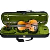 Arriva V-3  Profesyonel Keman 4/4