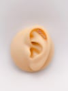 Cerrahi Çelik Piercing Renkli Dörtgen 6 Taşlı Kıkırdak Helix Piercing (1adet)