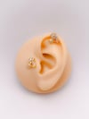Cerrahi Çelik Piercing Zambak  Figürlü Kıkırdak Helix Tragus Piercing (1adet)