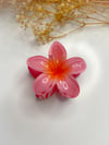 Lotus Toka Nar Çiçeği Pembe