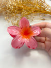 Lotus Toka Nar Çiçeği Pembe