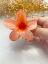 Lotus Toka Somon