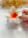 Lotus Toka Turuncu