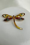 Renkli Mineli Tasarım Yusufçuk Broş (5cm)