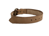 Basic Belt