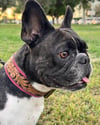 Pink Floral Leather Collar