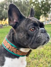 Turquoise Floral Leather Collar