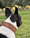 Orange Floral Leather Collar