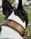 Green Floral Leather Collar