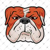 ALT3-  Kahverengi Bulldog Etiketi