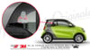 AN20 Kizgin Dinazor Etiketi