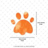 ANCT2- Kedi Patisi Etiketi