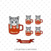ANCT53 American Shorthair Kedi Etiketi Seti - Kedinizin Ismine Ozel