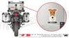 ANDG14- Fox Terrier Kopek Etiketi