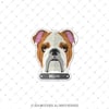 ANDG3- Bulldog Kopek Etiketi