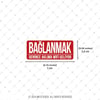 ESP64 V3 Baglanmak Denince