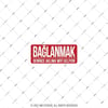 ESP64 V3 Baglanmak Denince