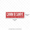 ESP67 V3 Canim Bi Saniye
