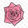 FLW9 Pembe Gul Etiketi