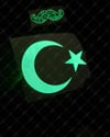 GIDW5 Karanlıkta Işıldayan Ay Yıldız Etiketi