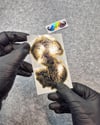 GLD15 Altın Seri Gangsta Motifli Dolar Etiketi