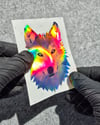 HLG105 Hologram Polygonal Tasarim Sibirya Kurdu Etiketi