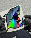 HLG115 Hologram Köpek Balığı Etiket