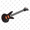 MSC5 Elektro Gitar Etiketi
