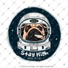 MSL137 Astronot Kopek Etiketi
