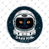 MSL138 Astronot Kedi Etiketi