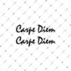 RFHLM110 Carpe Diem Yazili Etiket Seti