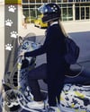 RFHLM19 Reflektif Kedi Patisi Izi Etiket Seti - 6 Adet