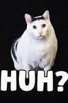 Siyah ''HUH?'' Meme Cats Unisex T-Shirt