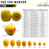 Liman YQE EVA Mantar-SARI