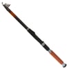 Remixon Cougar 3.00m 50-100gr Tele Kamış