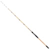 Ryuji Sparrow 1.70m 15-200gr 2P Bot Olta Kamışı