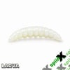 SPIINX LARVA 35MM 14P PEYNİR ALL GLOW 61