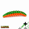 SPIINX LARVA 35MM 14P PEYNİR CITRUS 54